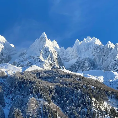 Апартаменти - Superbe Vue Mont Blanc Шамоні