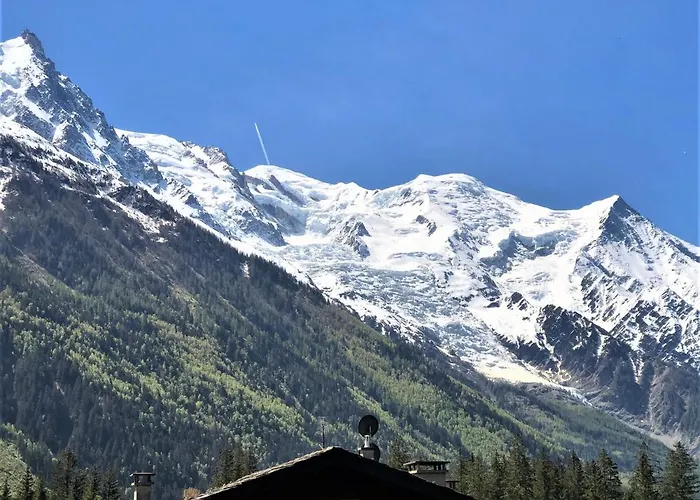 - Superbe Vue Mont Blanc *