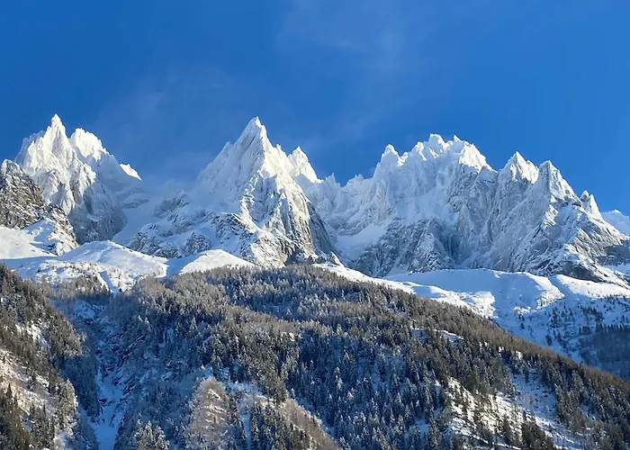 Апартаменти - Superbe Vue Mont Blanc Шамоні