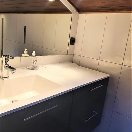 Superbe Vue Mont Blanc *