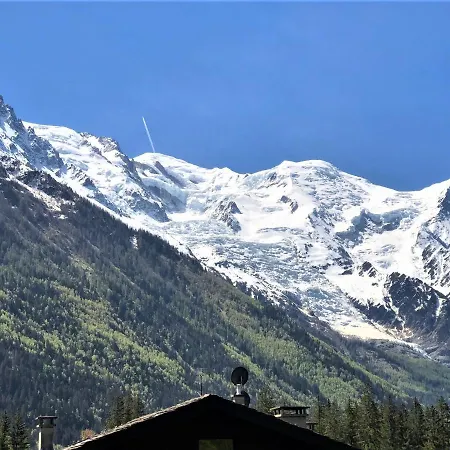Superbe Vue Mont Blanc *