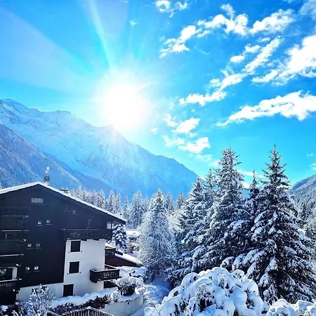 - Superbe Vue Mont Blanc Apartment