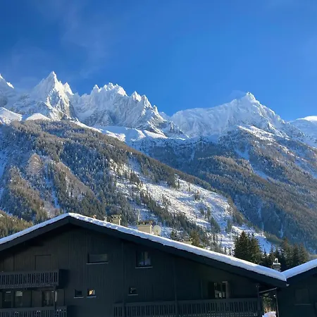 - Superbe Vue Mont Blanc * Chamonix