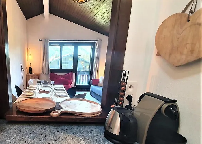 - Superbe Vue Mont Blanc *