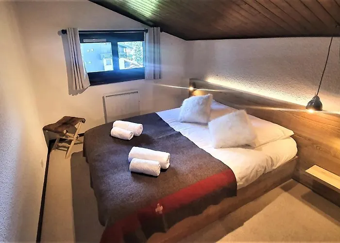 - Superbe Vue Mont Blanc שאמוני