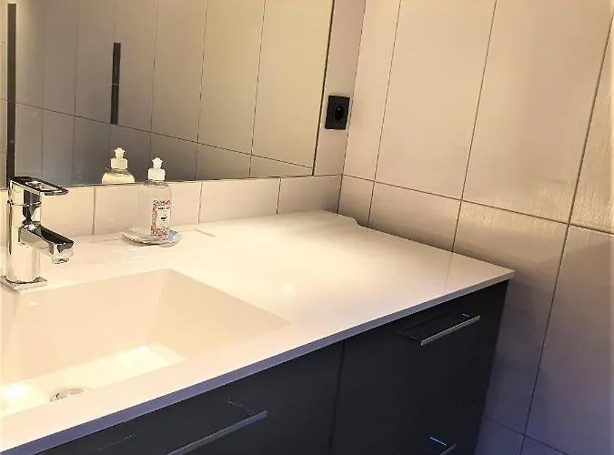 - Superbe Vue Mont Blanc *