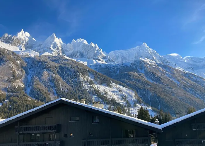 - Superbe Vue Mont Blanc * Chamonix