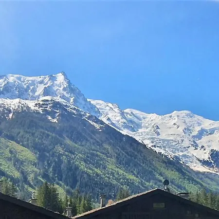 Superbe Vue Mont Blanc *