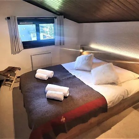 Superbe Vue Mont Blanc Chamonix