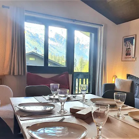 Superbe Vue Mont Blanc * Chamonix