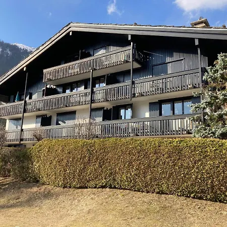 Superbe Vue Mont Blanc Chamonix